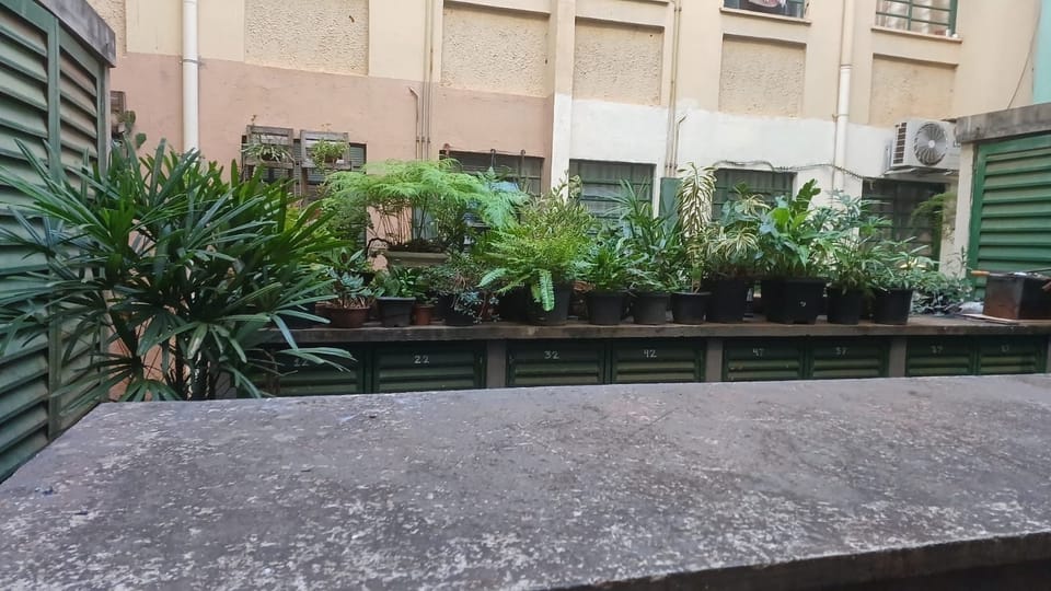 Apartamento com 2 dormitórios para alugar - Conjunto Habitacional CAIC - São José do Rio Preto/SP - foto 12